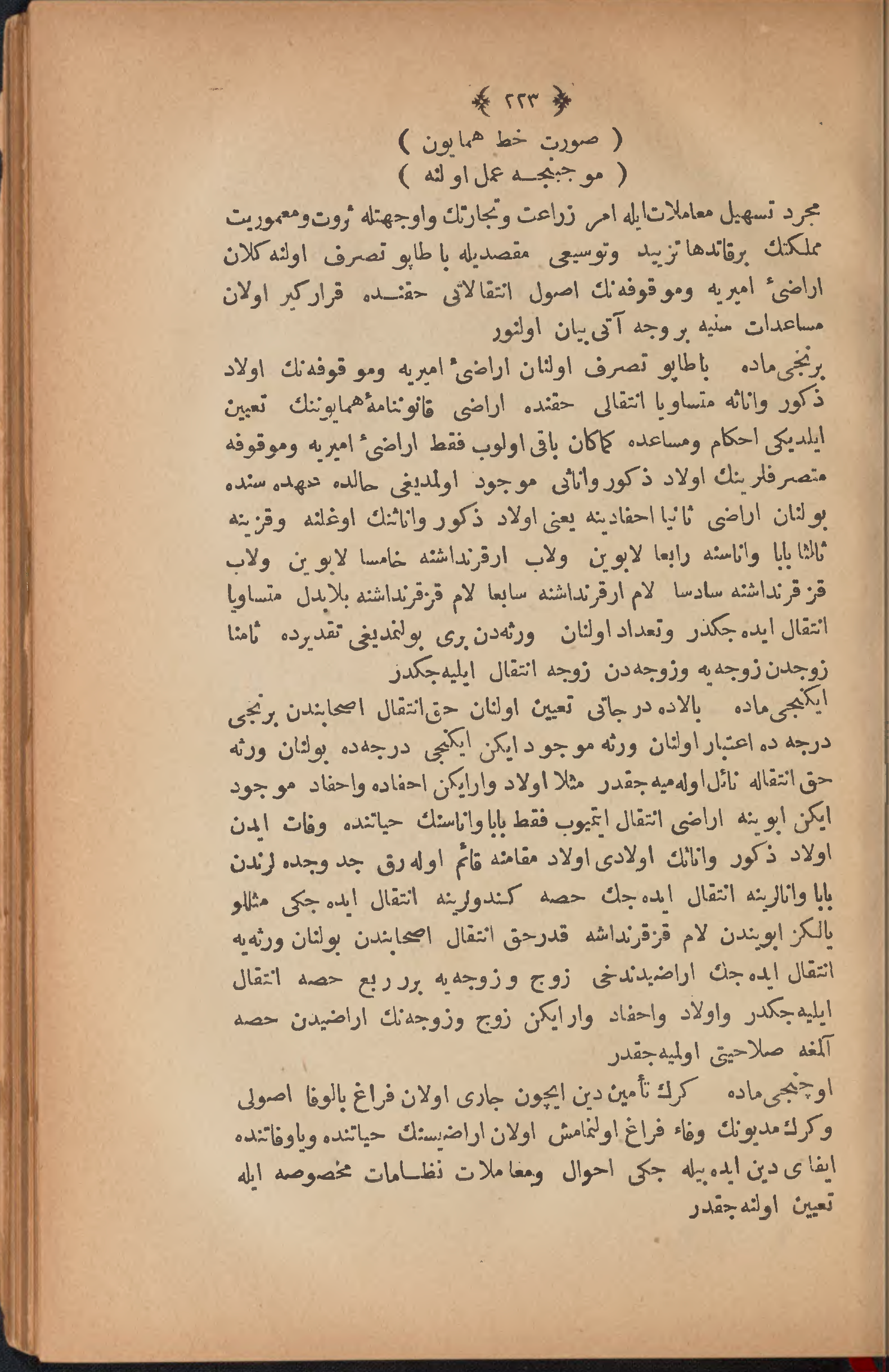Page 233