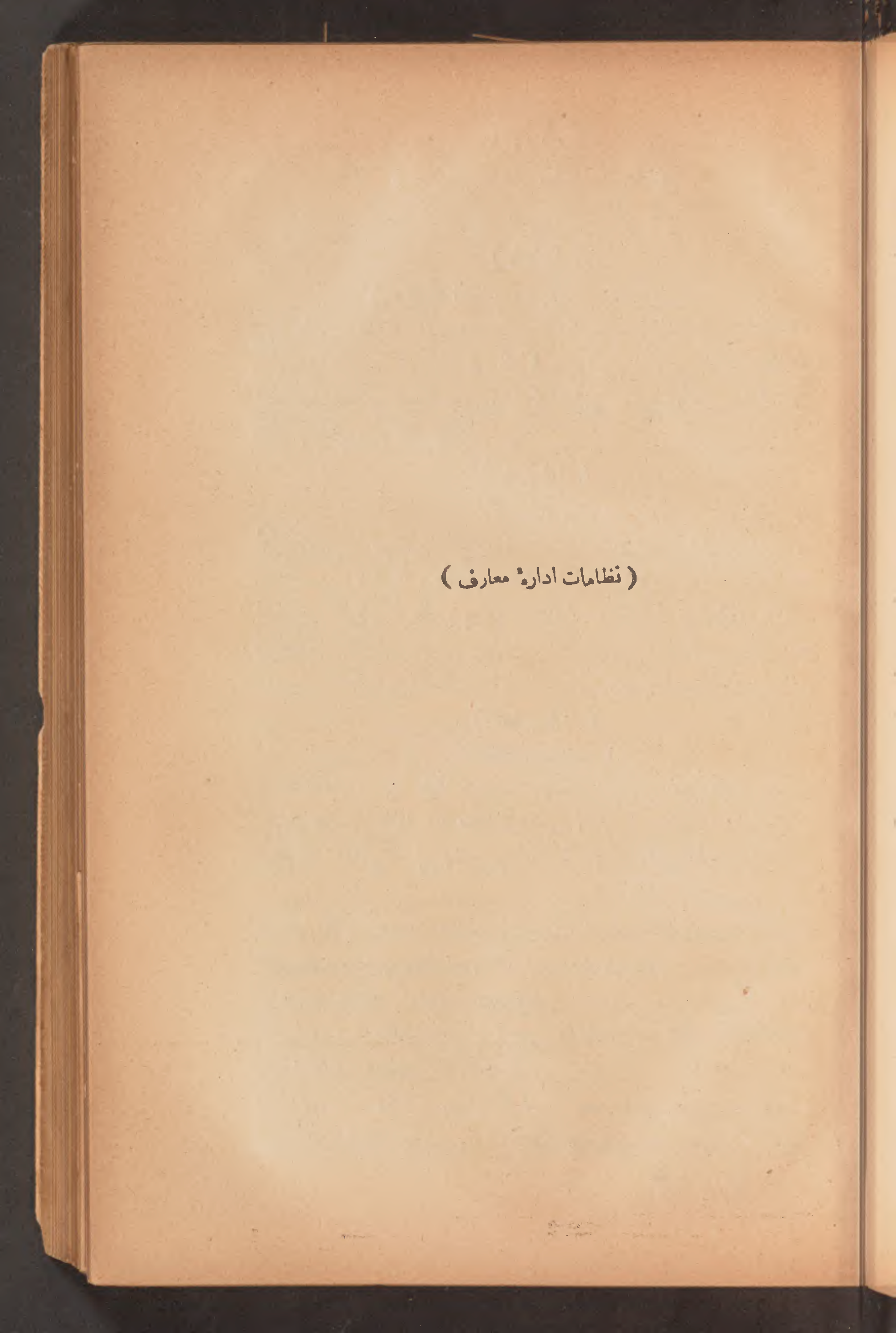 Page 197